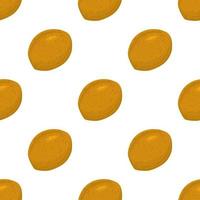 Illustration on theme big pattern identical types walnut vector