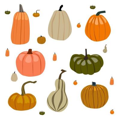 pumpkin autumn themes set