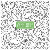 Hand drawn set of vegetables. Vector illustration of doodle skecth