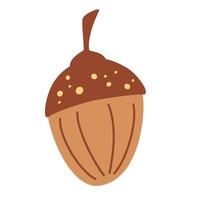 Acorn. nut and food. vector