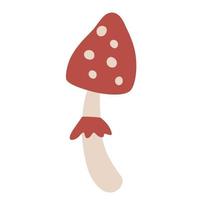 Red Amanita mushroom. Poisonous toadstool fly agaric. vector