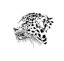 leopard head  graphics vector