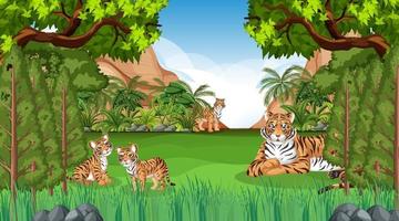 Tiger family in forest or rainforest scene with many trees vector