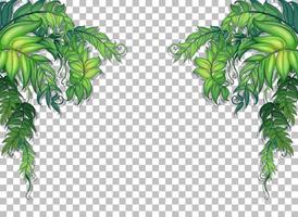 Various tropical leaves frame vector