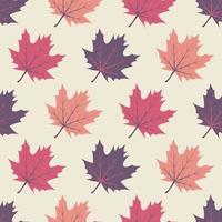 Seamless Pattern with Maple Leaves vector