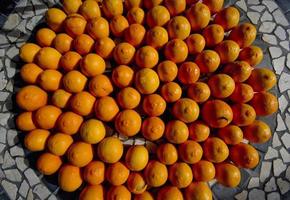 Oranges on the terrace garden table photo