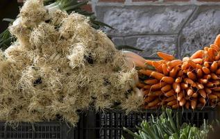 Carrots and leeks on the market in Madrid, Spain photo