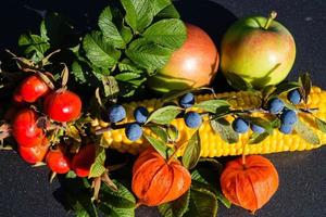 Different fruits and berries as autumn decoration photo