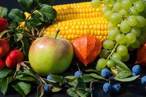 Different fruits and berries as autumn decoration photo