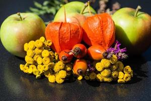 Different fruits and berries as autumn decoration photo