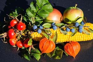 Different fruits and berries as autumn decoration photo