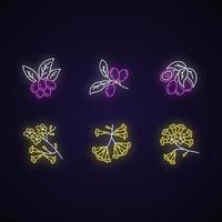 Conjunto de iconos de luz de neón de flora brasileña vector