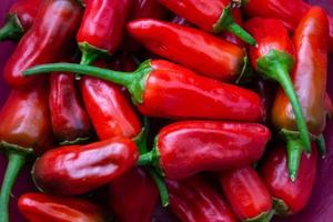 Red Chili Pepper spicy vegetable photo