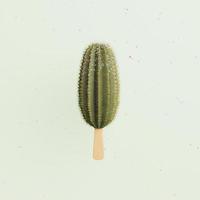 helado de cactus foto