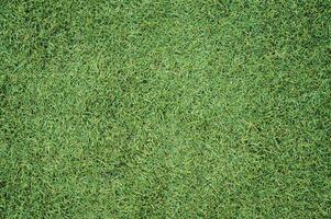 Artificial grass texture photo