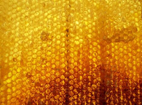 Drop of bee honey drip from hexagonal honeycombs photo