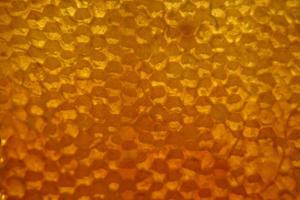 Drop of bee honey drip from hexagonal honeycombs photo