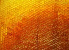 Drop of bee honey drip from hexagonal honeycombs photo