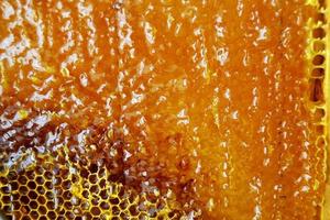 Drop of bee honey drip from hexagonal honeycombs photo