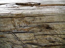 Background texture brown wood, closeup fracture photo