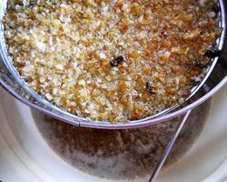 wax honeycomb from a bee hive filled with golden honey photo