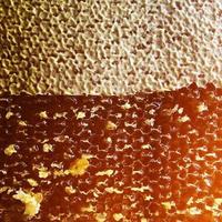 gota de miel de abeja goteo de panales hexagonales llenos foto