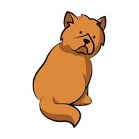 diseño plano de dibujos animados lindo perro chow chow vector