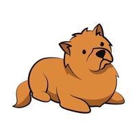 diseño plano de dibujos animados lindo perro chow chow vector