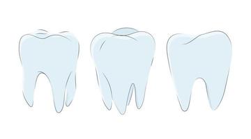 Art Set of molars in a cute cartoon style. vector
