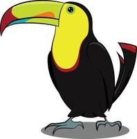 Black and Yellow Toucan standing. Birds from Different parts of World. vector