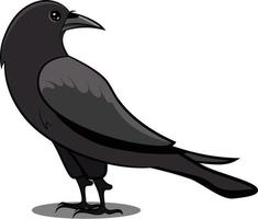 Black Crow with Shadow. Black Bird. Common Birds. vector