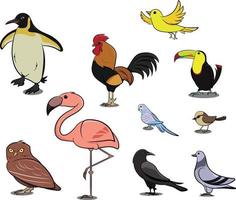 Penguin Chicken Sparrow Dodo Bird Pigeon Duck Swan Owl Crow. vector