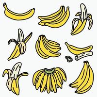 Doodle dibujo a mano alzada de fruta de plátano. vector