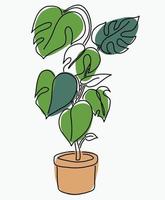 simplicidad planta monstera vector