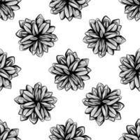 Black and white pattern background design with pine cones vector