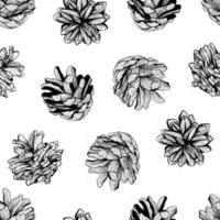 Black and white pattern background design with pine cones vector