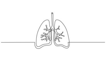 One continuous line of lungs isolated on white background. vector