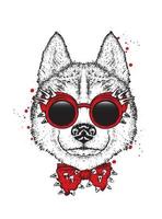 Beautiful hipster dog in stylish clothes and accessories vector