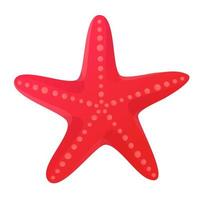 Red starfish seashell. Beach clipart,ocean star element concept. vector