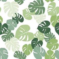 Monstera deja un fondo tropical natural de patrones sin fisuras. vector