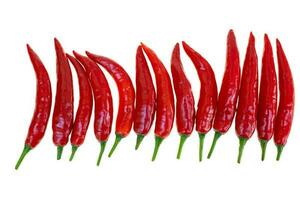 Close up red hot chili spur pepper photo