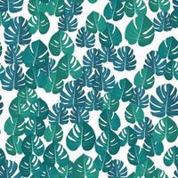 Monstera leaaves seamless pattern natural tropical background vector