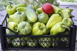 Vegetables in a box close-up. Fresh peppers, cucumbers and tomatoes photo