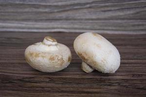 Champignons close-up. Champignon mushrooms photo