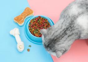 comida para mascotas y bocadillos, hueso con gato comiendo foto