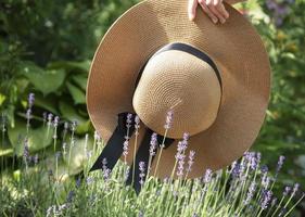 gran sombrero de paja en los arbustos de lavanda foto