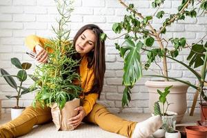Woman gardener taking care of her home garden plants photo
