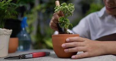 mão envasando uma pequena planta