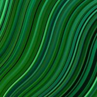 Light Green vector texture with curves.