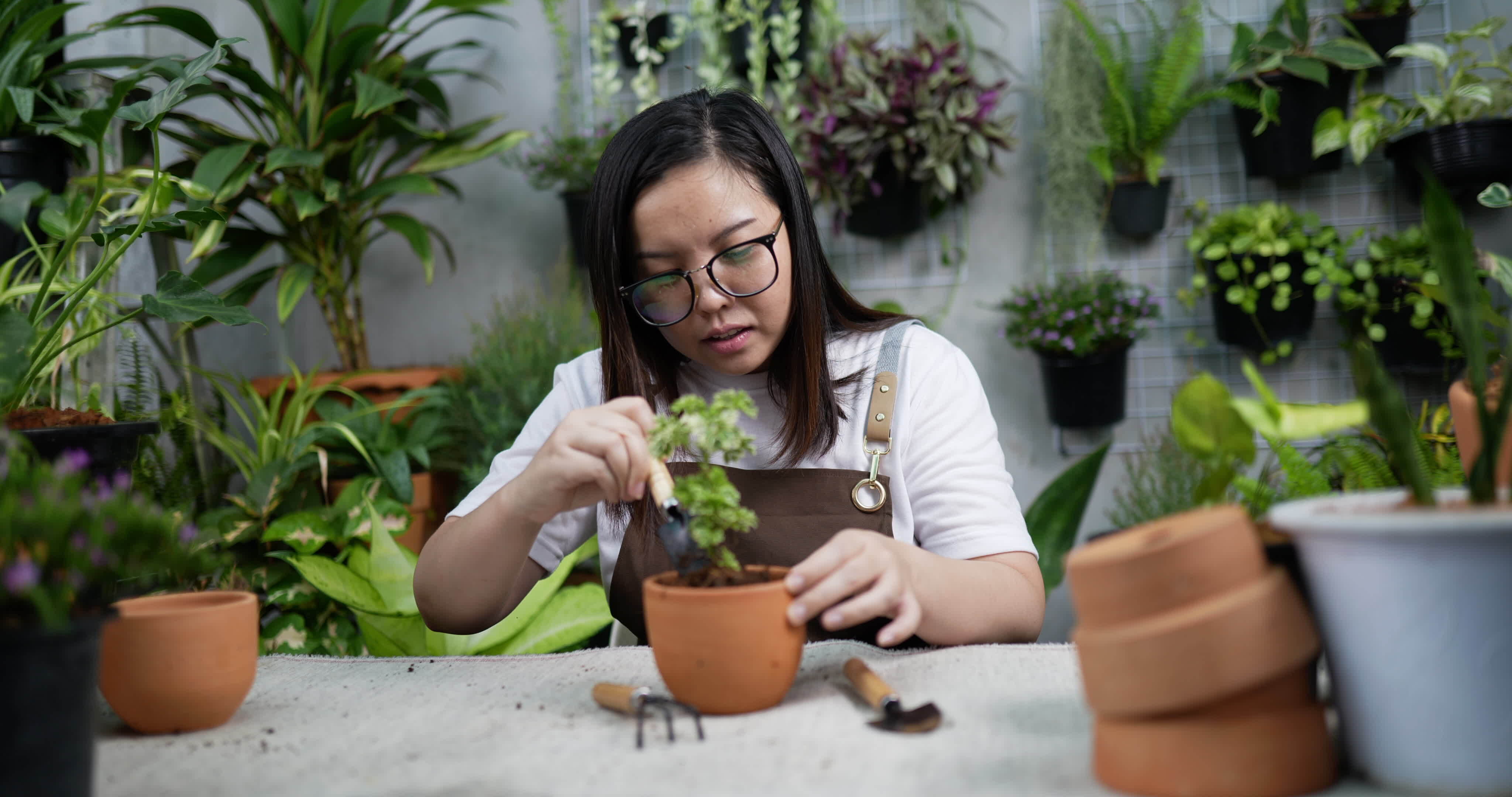 Woman Planting a Plant 3045818 Stock Video at Vecteezy